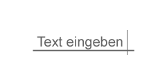 SCHRITT 1: Text eingeben
