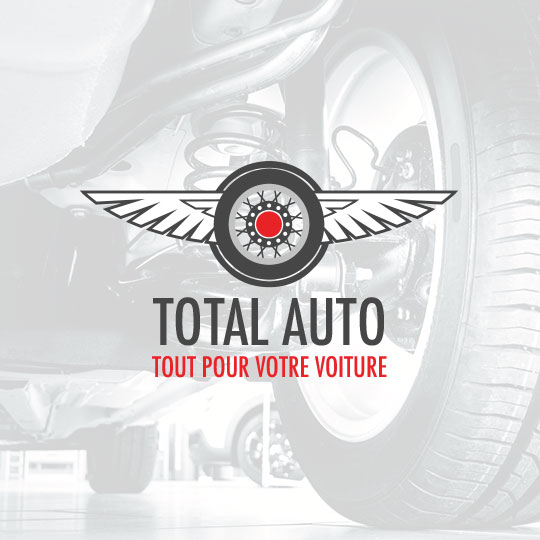 L'icône de pneu et d'ailes exemple de conception de logo personnalisé