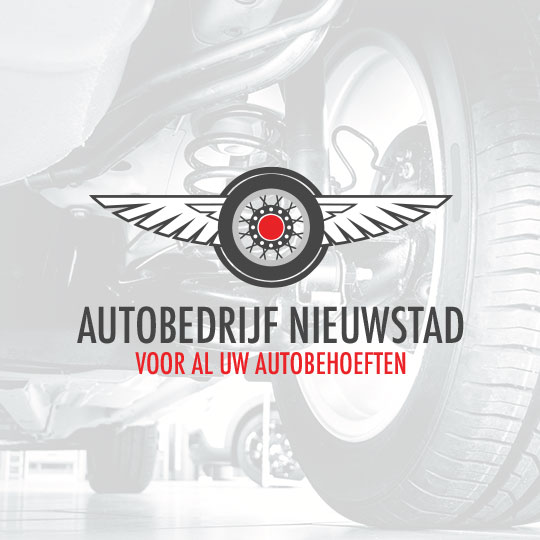 Banden en vleugels Icoon Custom Logo Ontwerp voorbeeld